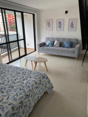 Hermoso aparta estudio en Cali.